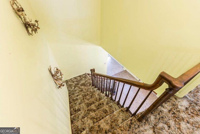 staircase featuring carpet floors