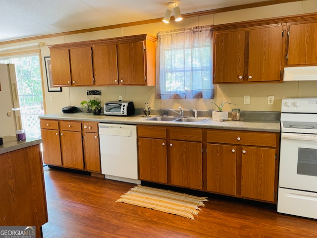 kitchen featuring sink, dark hardwood / wood-style flooring, white appliances, exhaust hood, and ornamental molding