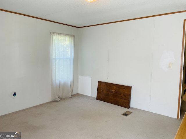 spare room featuring light colored carpet and crown molding