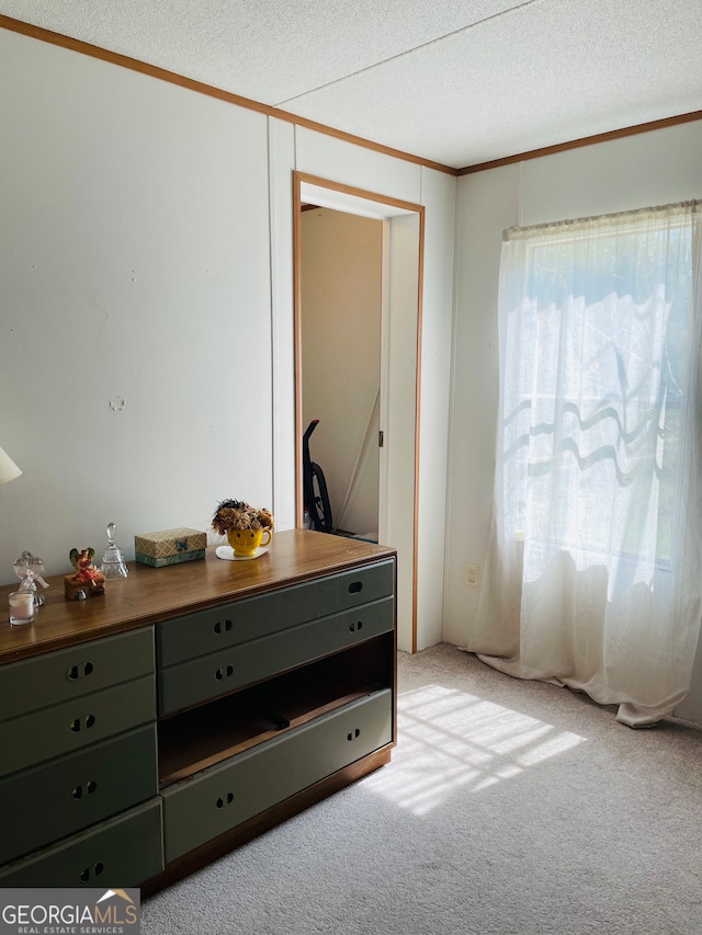 carpeted bedroom with crown molding and a textured ceiling