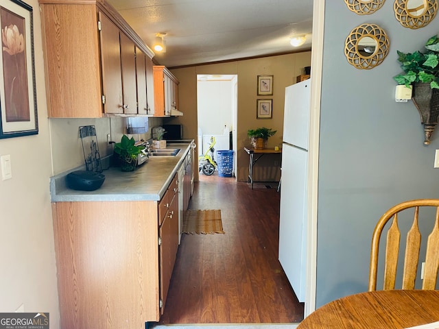 kitchen featuring vaulted ceiling, dark hardwood / wood-style floors, and white refrigerator