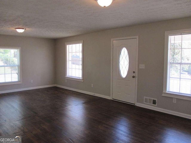 foyer with a textured ceiling, dark wood-type flooring, and a wealth of natural light