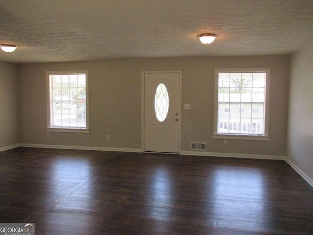 foyer entrance featuring a textured ceiling, dark hardwood / wood-style flooring, and a wealth of natural light