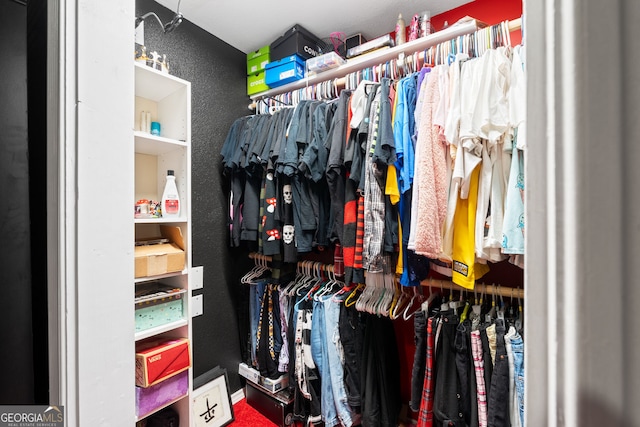 view of spacious closet