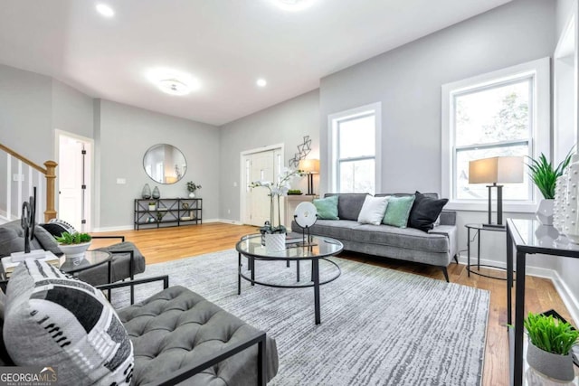 living room featuring wood-type flooring