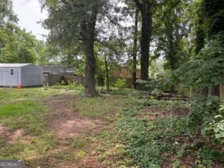 view of yard featuring a shed