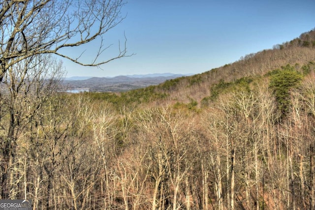 property view of mountains