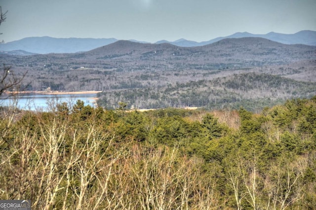 property view of mountains featuring a water view