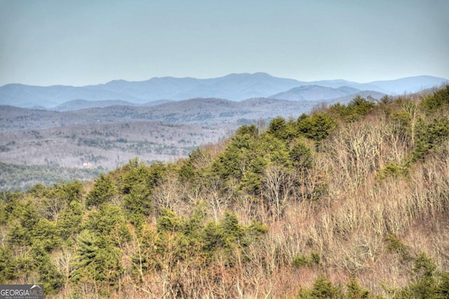 property view of mountains