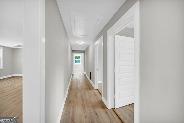 corridor featuring light hardwood / wood-style flooring