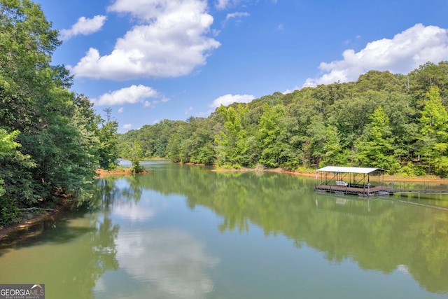 water view with a boat dock