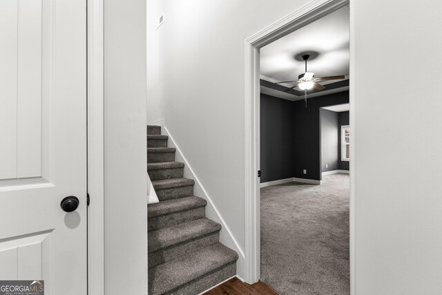 stairway with ceiling fan and carpet floors