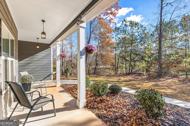 view of patio / terrace with a porch