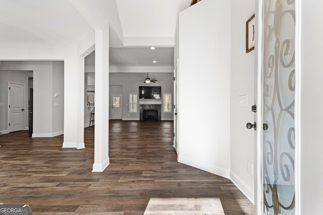 foyer entrance with ceiling fan and dark hardwood / wood-style flooring