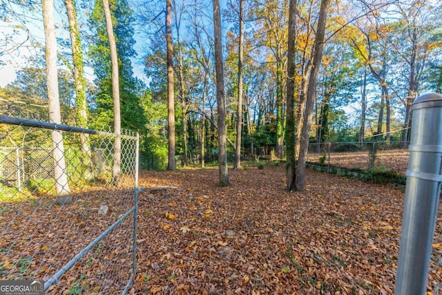 2363 Dabney Ter, Atlanta, GA 30344 - view of yard