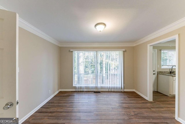 spare room featuring crown molding, sink, and dark hardwood / wood-style floors