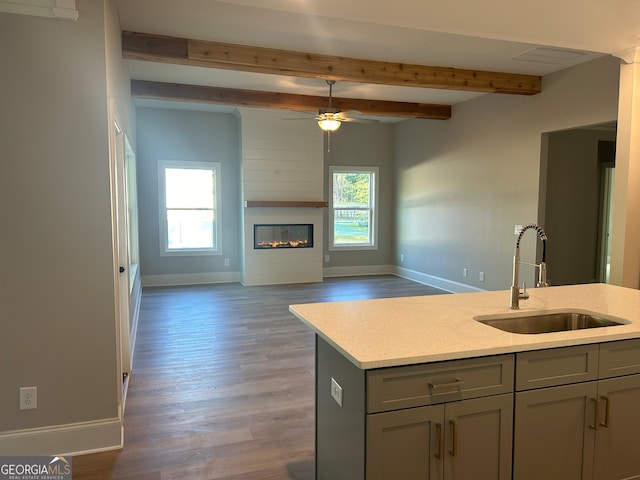 kitchen featuring dark hardwood / wood-style flooring, a kitchen island with sink, sink, and a wealth of natural light