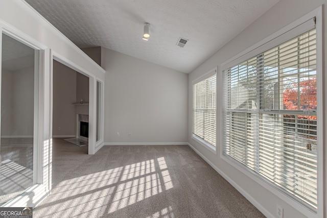 interior space with a textured ceiling, light colored carpet, vaulted ceiling, and plenty of natural light