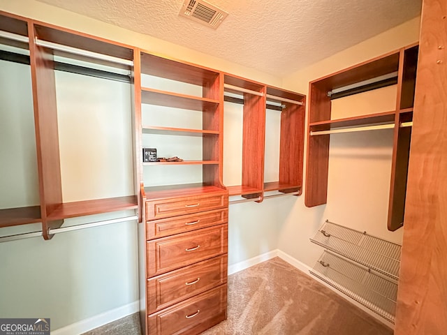 spacious closet with carpet flooring