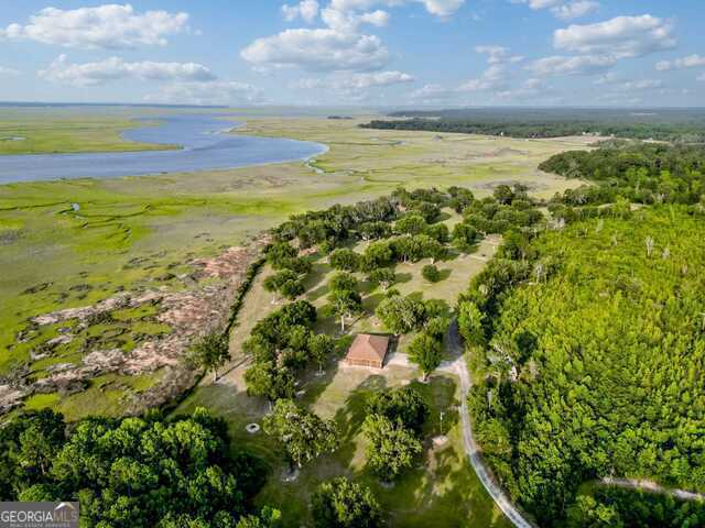 3917 Harris Neck Rd NE, Townsend, GA 31331 - aerial view of property and surrounding area with a large body of water