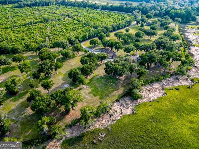 3917 Harris Neck Rd NE, Townsend, GA 31331 - aerial view of property and surrounding area
