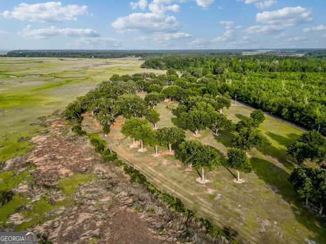 3917 Harris Neck Rd NE, Townsend, GA 31331 - aerial overview of property's location