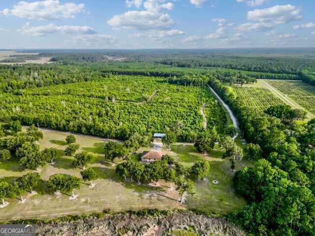 drone / aerial view featuring a rural view