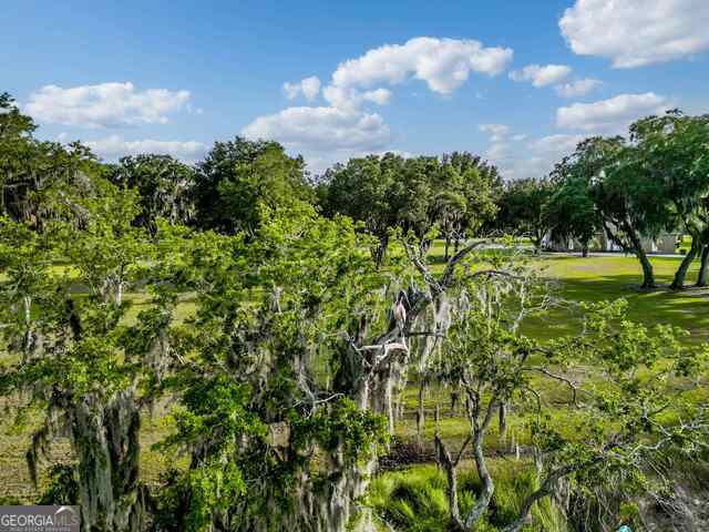 view of nature