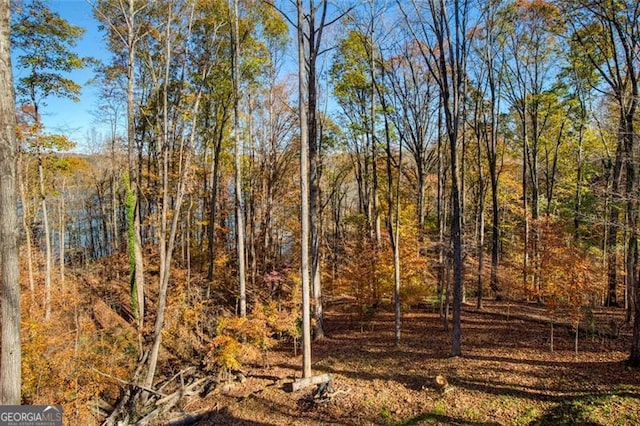 view of nature with a wooded view