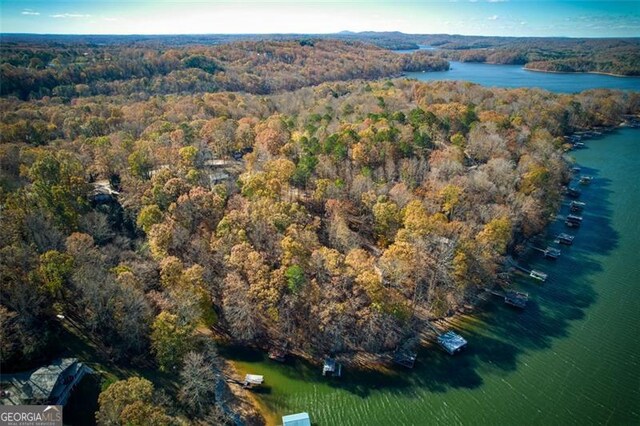 aerial view featuring a water view and a wooded view