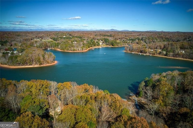bird's eye view featuring a view of trees and a water view