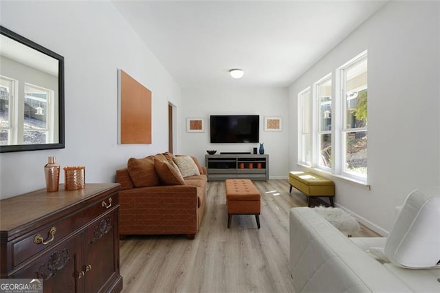 living room featuring a wealth of natural light and light wood finished floors