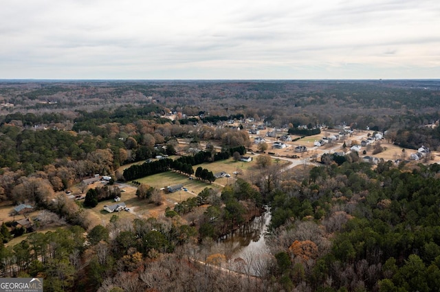 bird's eye view