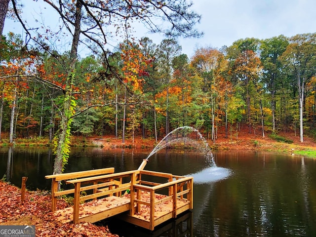 dock area featuring a water view