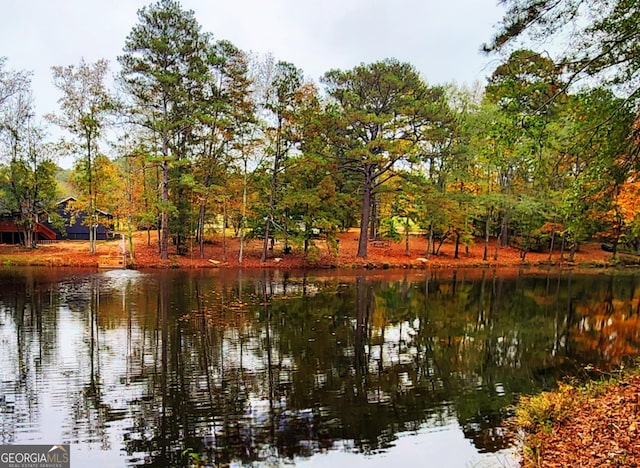 view of water feature