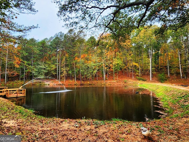 view of yard with a water view