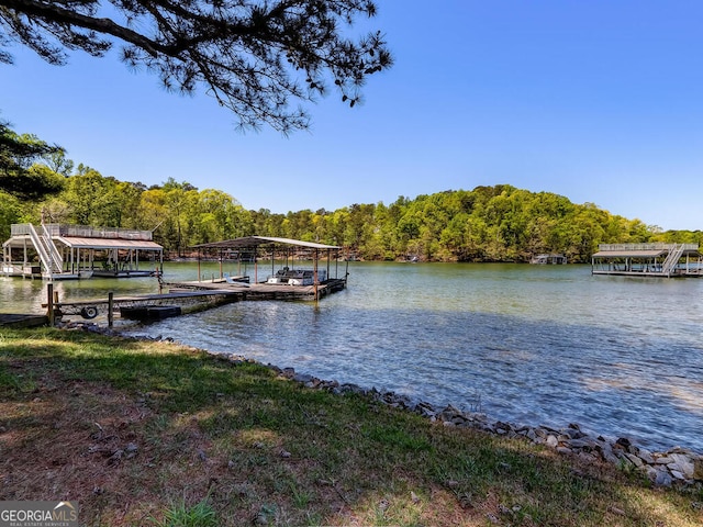 dock area with a water view