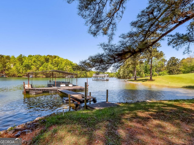 dock area with a water view