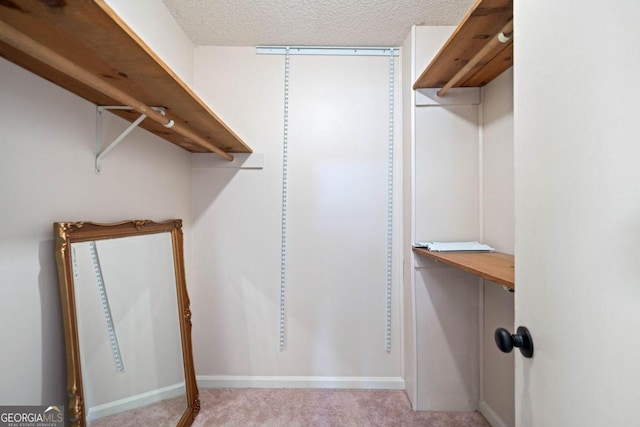 spacious closet with light colored carpet