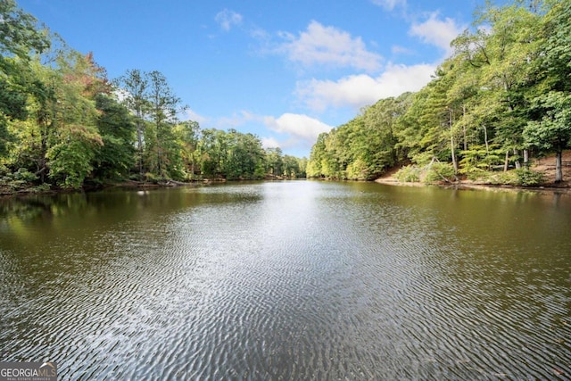 property view of water