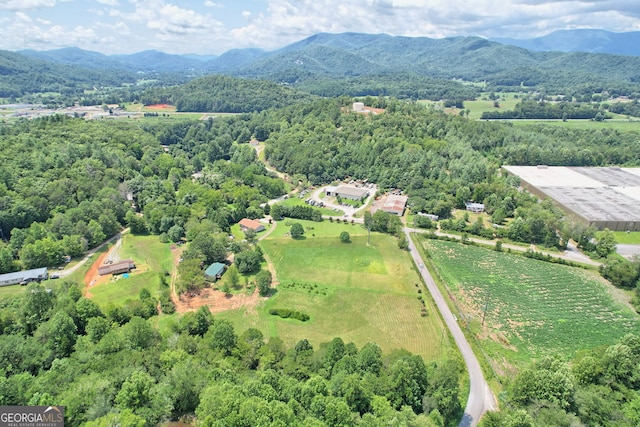 bird's eye view featuring a mountain view