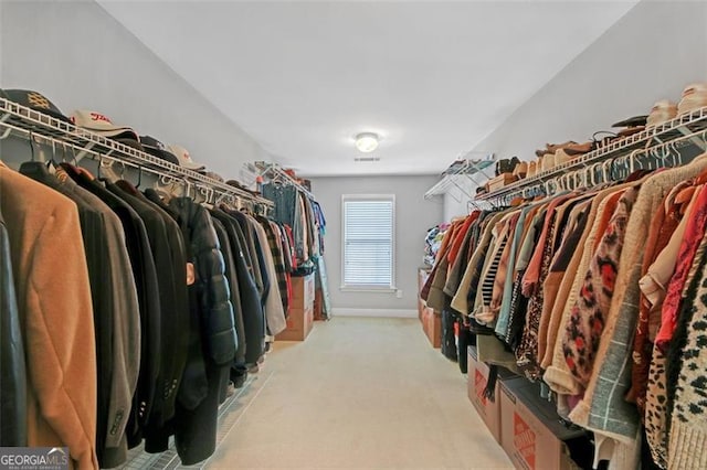 spacious closet featuring carpet flooring