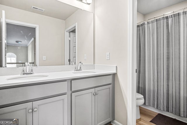 bathroom featuring wood-type flooring, vanity, and toilet