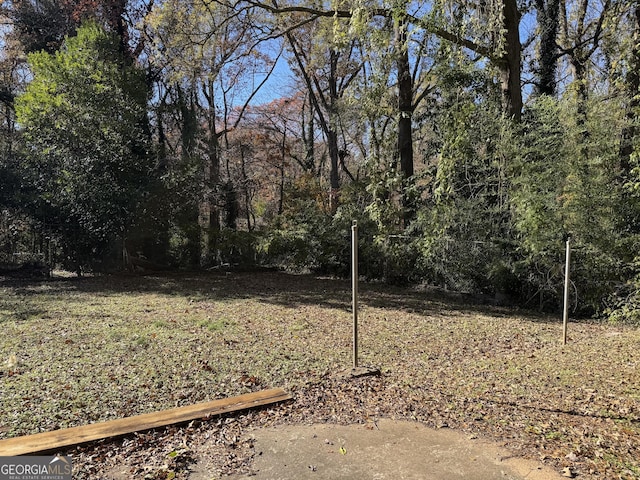 view of yard featuring a wooded view