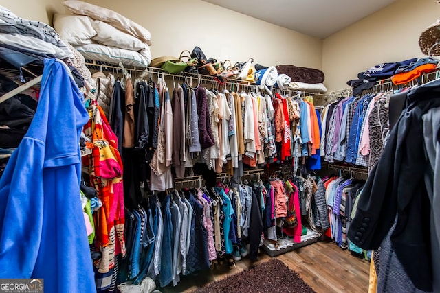 walk in closet with wood-type flooring