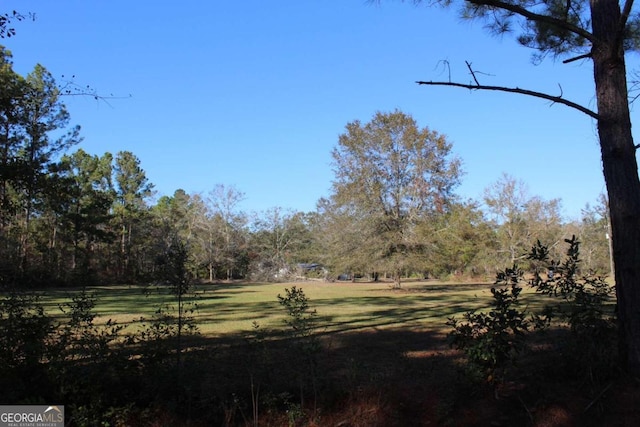 Listing photo 3 for 1420 NE Bradwell Dunham Rd, Ludowici GA 31316