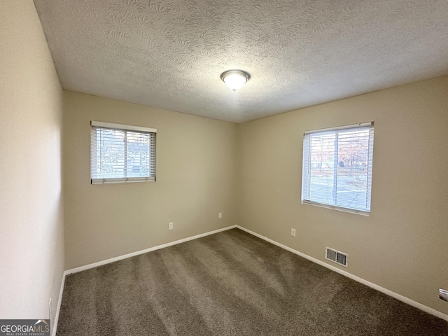 empty room with carpet flooring, a textured ceiling, and a wealth of natural light