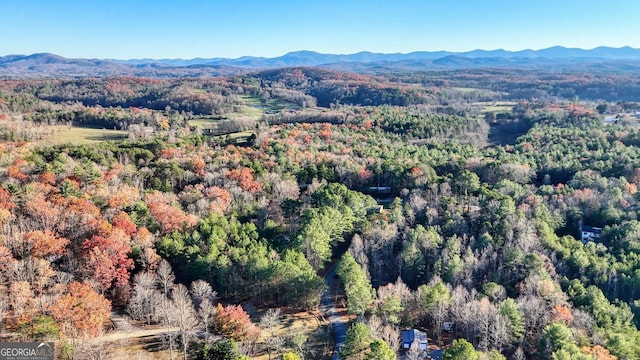 birds eye view of property featuring a mountain view