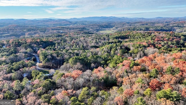 birds eye view of property with a mountain view