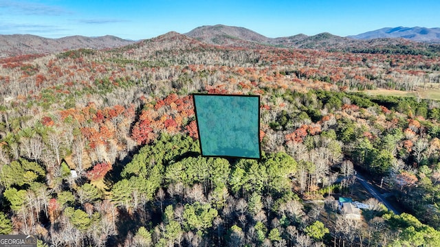 aerial view with a mountain view